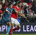 Benfica a réglé un problème, c'est au tour du Standard