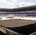 Pelouse d'Anderlecht: 