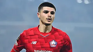 Coupe du monde et transfert de rêve pour Fernandez-Pardo ?