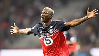 L'ancien Zèbre est à présent le meilleur Dogue