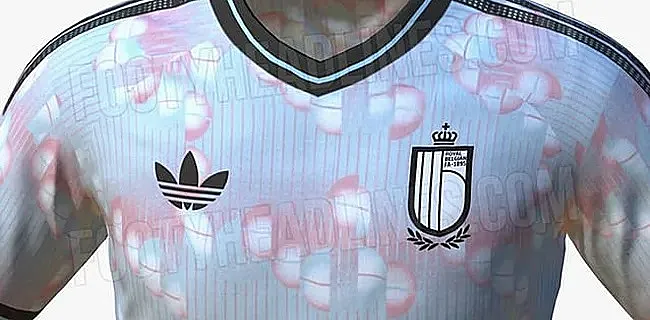 La Belgique tremble: un pays pille nos bi-nationaux