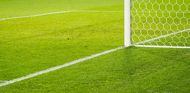 Le jardinier avait oublié que le terrain était synthétique: il le tond!