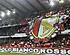 Les fans du Standard déjà fous du maillot extérieur