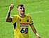 Westerlo : Bassette affole les compteurs et rêve plus grand