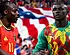 Belgique - Sénégal : les stats désignent déjà le favori