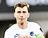 Genk sévèrement critiqué : « Ils sont beaucoup trop sages »