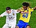 Westerlo et Beveren se livrent un duel fou à huit buts