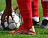 Le Fortuna Sittard s'offre un entraîneur belge